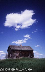 Weathered farm building(field)